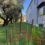 Catrinandes - Retreat Center 4* Tondela