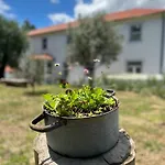 Bed & Breakfast Catrinandes - Retreat Center Tondela