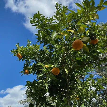 Catrinandes - Retreat Center Тондела