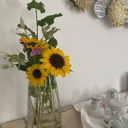 Catrinandes - Retreat Center Отель типа 