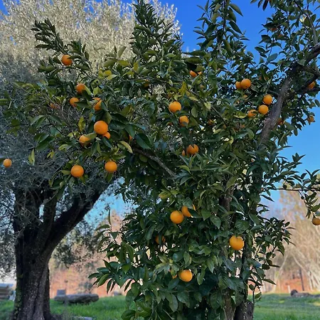 Catrinandes - Retreat Center Тондела