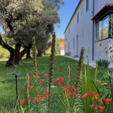 Catrinandes - Retreat Center 4* Tondela