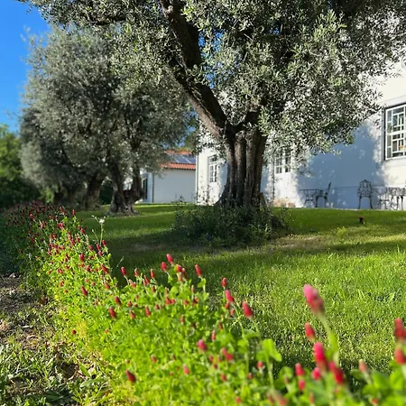 Catrinandes - Retreat Center Отель типа 