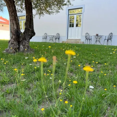 Catrinandes - Retreat Center 3* Тондела