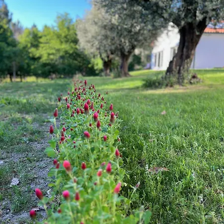 Catrinandes - Retreat Center