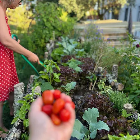 Catrinandes - Retreat Center Отель типа 