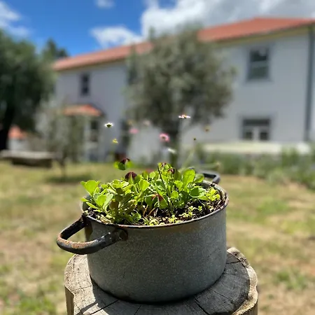 Nocleg ze śniadaniem Catrinandes - Retreat Center Tondela