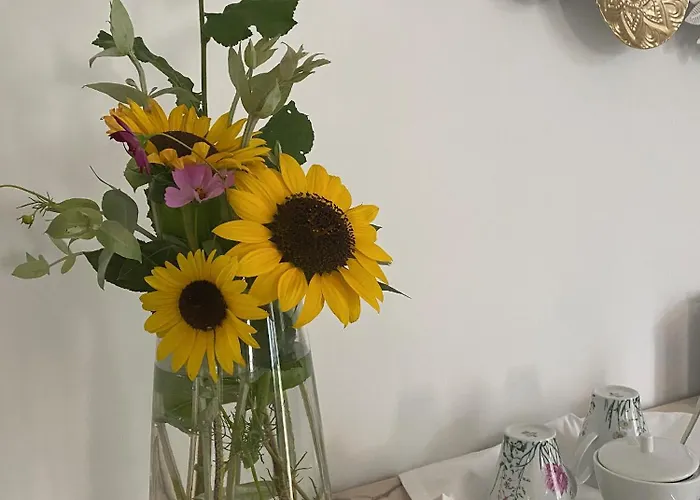 Catrinandes - Retreat Center Couette-café 3*