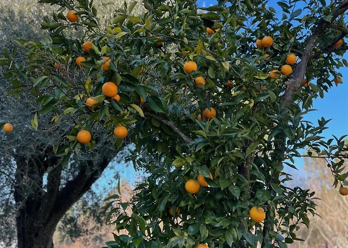 Catrinandes - Retreat Center Tondela