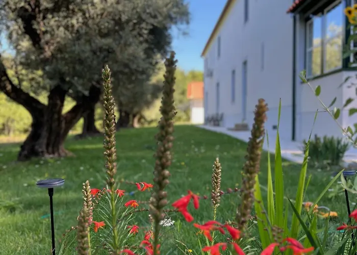 Catrinandes - Retreat Center 3* Tondela