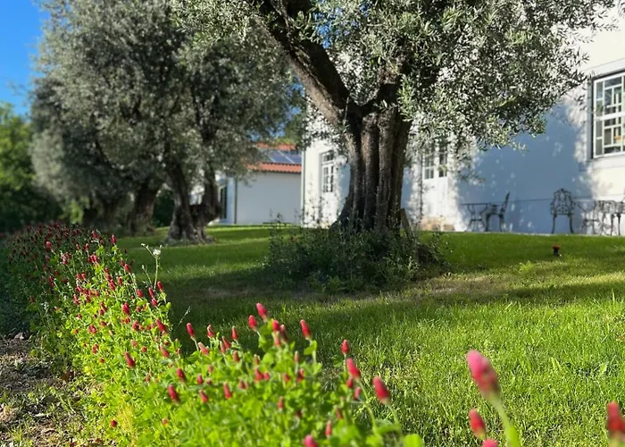 Catrinandes - Retreat Center Couette-café