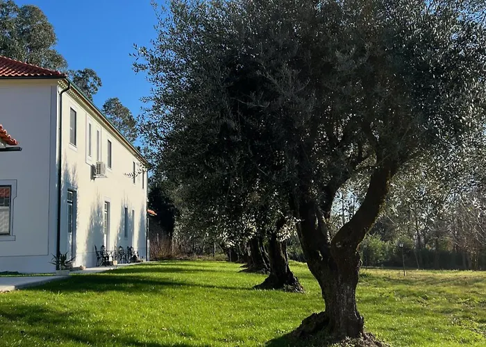 Couette-café Catrinandes - Retreat Center Tondela