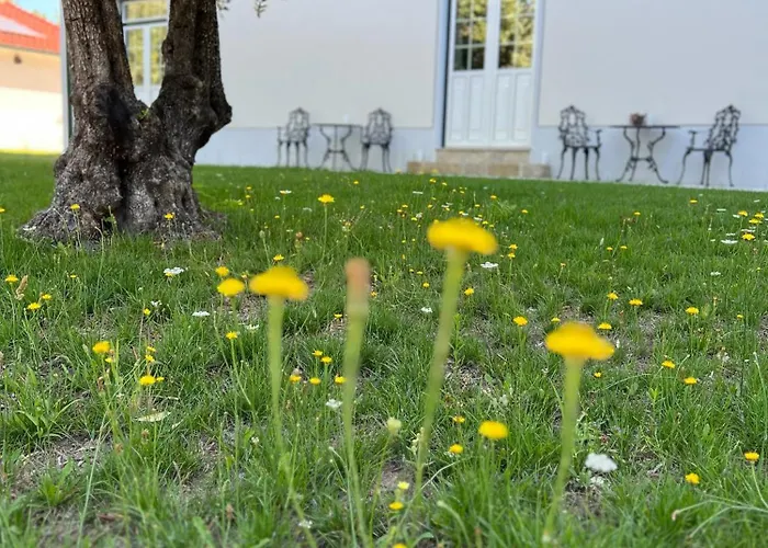 Catrinandes - Retreat Center 3* Tondela