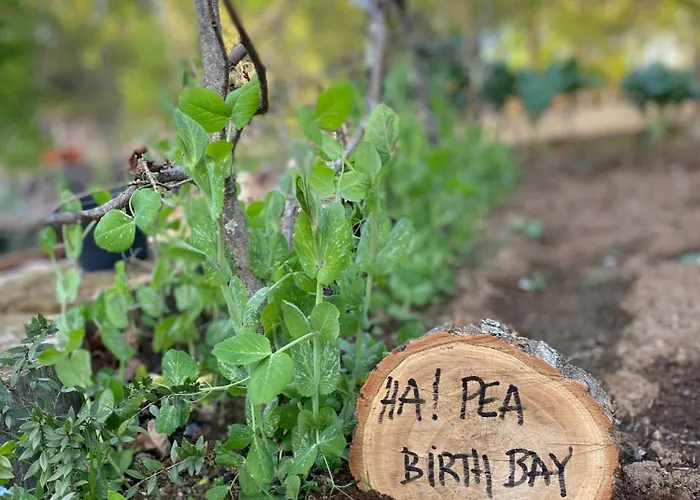 Catrinandes - Retreat Center Couette-café