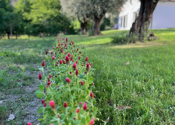Catrinandes - Retreat Center