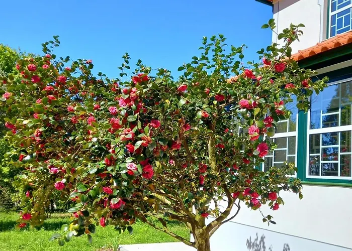 Catrinandes - Retreat Center Couette-café
