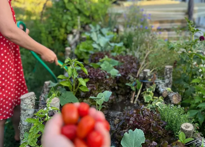 Catrinandes - Retreat Center Couette-café 3*