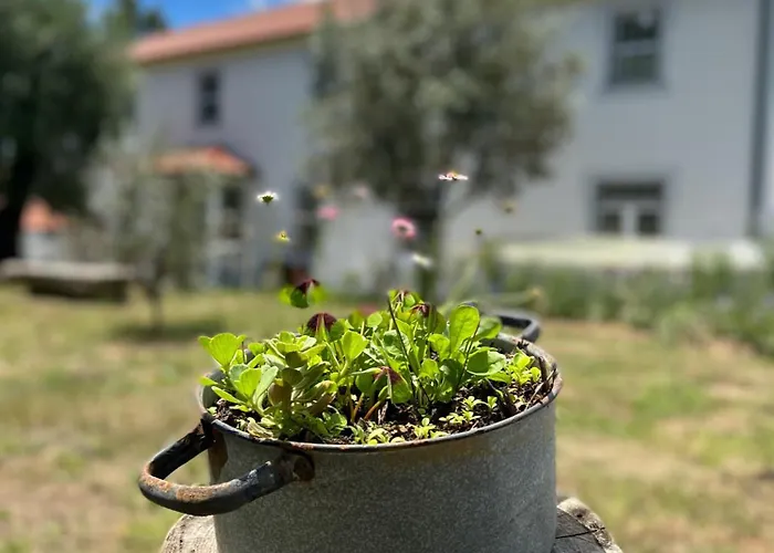 Couette-café Catrinandes - Retreat Center Tondela
